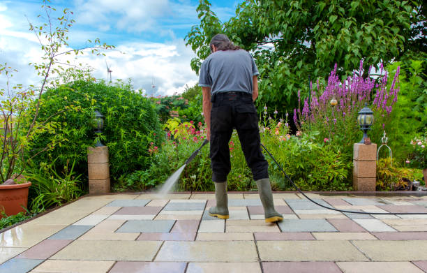Best Animal Enclosure Cleaning  in Folly Beach, SC